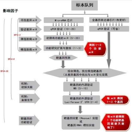 一张图看懂microRNA的研究思路和流程