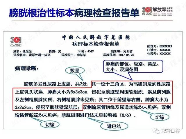 泌尿系统常见肿瘤标本病理报告规范