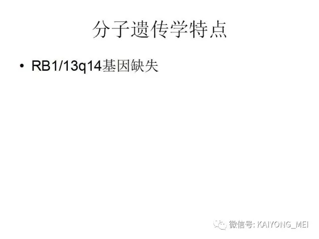 女性生殖道软组织肿瘤病理诊断及进展（一）