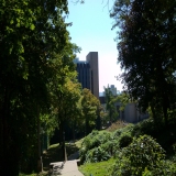 UPMC