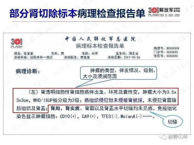 泌尿系统常见肿瘤标本病理报告规范