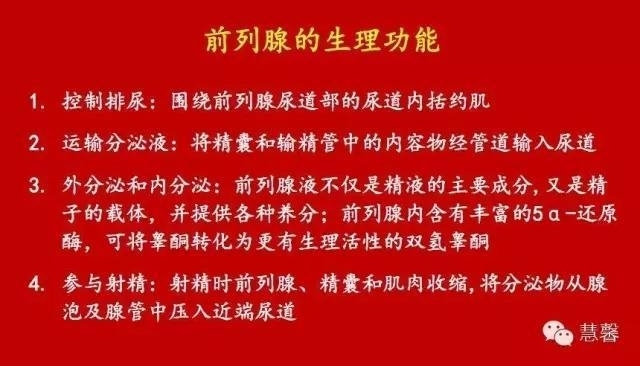 前列腺电切标本出现的非前列腺、非精囊腺组织是什么？原因何在？（张睿病例分享，孔祥田(Max)*Roswell*NM老师讲解）