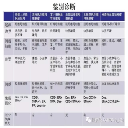 女性生殖道软组织肿瘤病理诊断及进展（二）