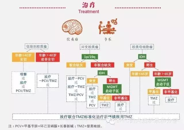 一图读懂胶质瘤分子病理