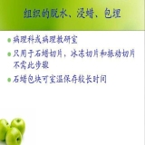 2011-11-21