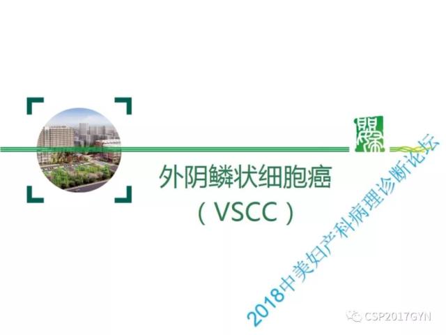 非HPV相关的外阴鳞状细胞肿瘤
