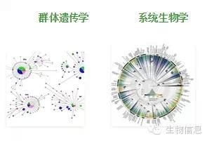 NGS数据处理流程