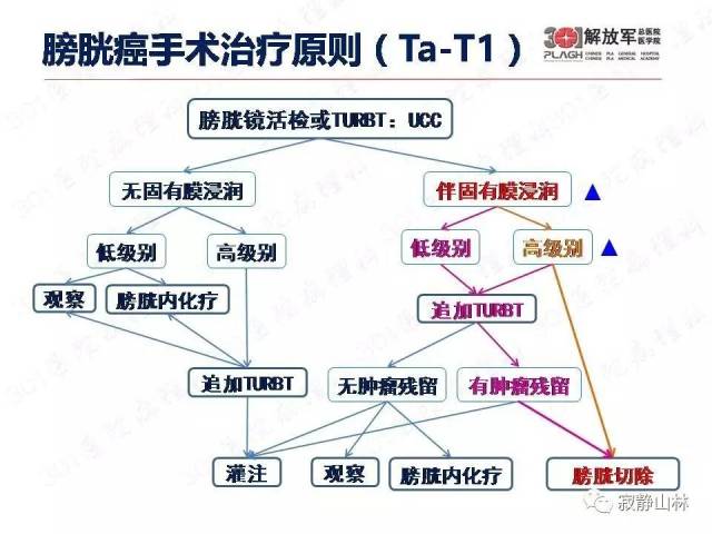 泌尿系统常见肿瘤标本病理报告规范