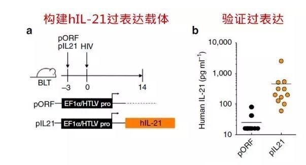 基金 | 可以点亮标书的2015年miRNA最新研究机制
