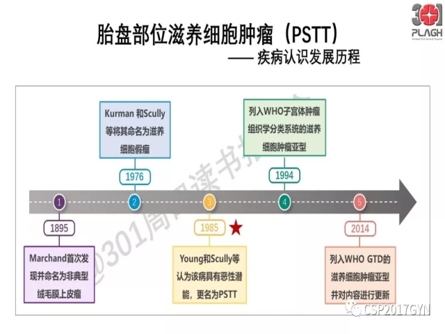 中间型滋养细胞肿瘤的诊断及鉴别诊断