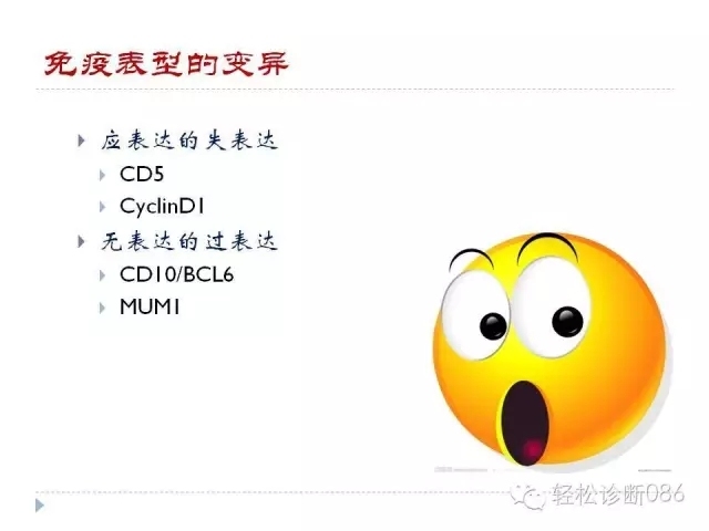 关于套细胞淋巴瘤的总结课件