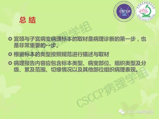 宫颈与子宫病变病理标本取材