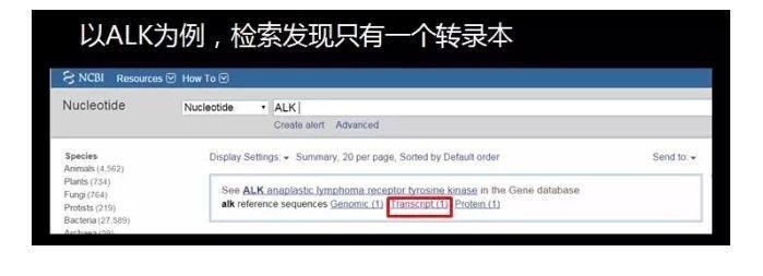国自然科学问题分析： mRNA也是“拼接”范儿