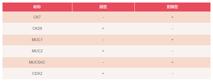 壶腹部腺癌的病理诊断