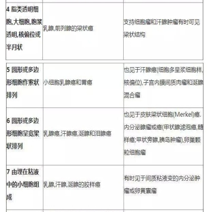 肿瘤病理学分类大全