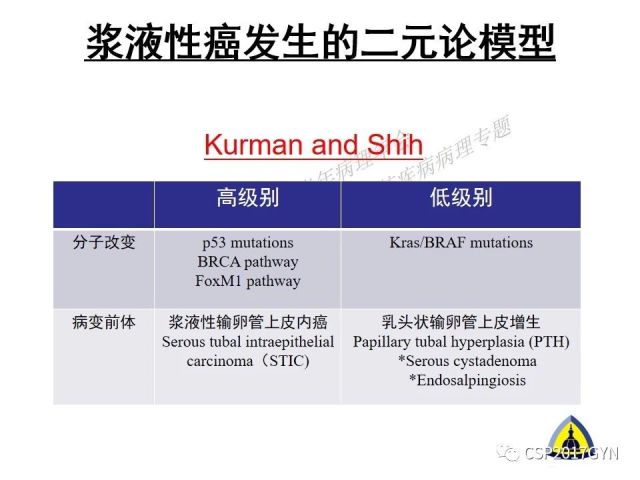 中华病理学会基层培训遵义站讲座（一）——卵巢和输卵管浆液性肿瘤的诊断和鉴别诊断