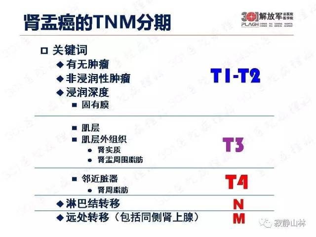 泌尿系统常见肿瘤标本病理报告规范