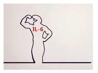 通路 | 炎症、免疫与癌症扯不清理还乱关系背后：Jak/Stat-IL-6 pathway