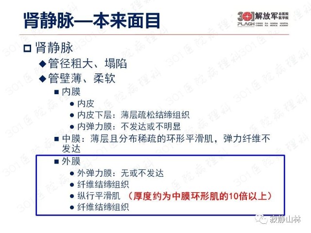 泌尿系统常见肿瘤标本病理报告规范
