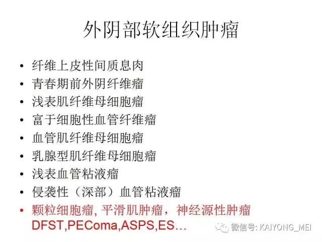 女性生殖道软组织肿瘤病理诊断及进展（一）