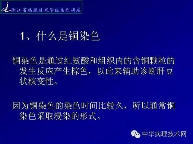 特殊染色-铜染色