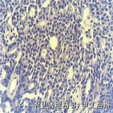2012-03-06