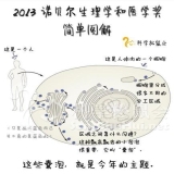 默认相册