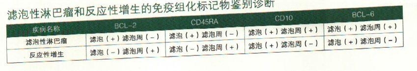 滤泡性淋巴瘤和反应性增生的免疫组化标记物鉴别诊断