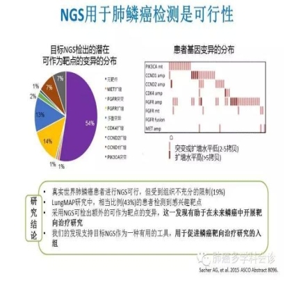 肺癌靶向治疗重要进展荟萃（2015 ASCO）