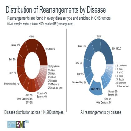Genomic profiling of 114,200 advanced cancers identifies recurrent kinase domain duplications (KDD)