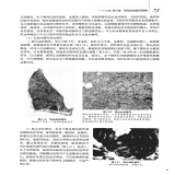 默认相册