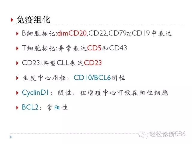 慢性淋巴细胞性白血病