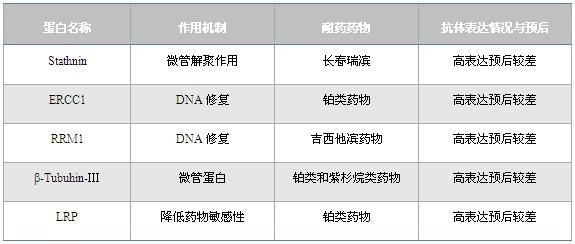 非小细胞性肺癌化疗相关性免疫组化检测项目及其意义