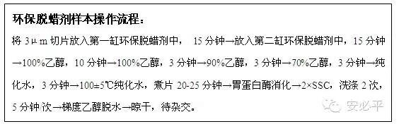 环保脱蜡剂在FISH样本前处理中的应用