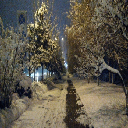 每年的第一场雪