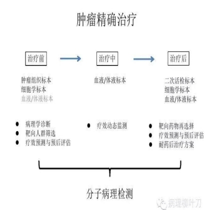 肿瘤精确医疗与分子病理检测