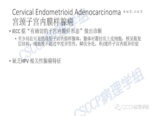 Atypical glandular cells: Recent Advances 非典型腺细胞新进展