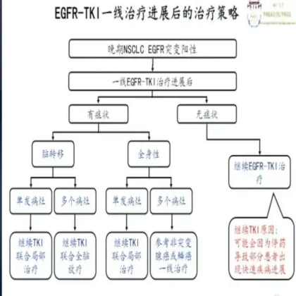 EGFR-TKI一线治疗进展后的治疗策略