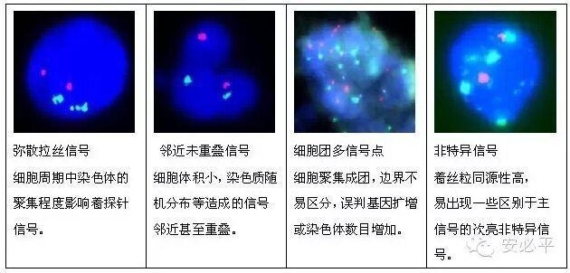 手把手教你建立FISH阈值
