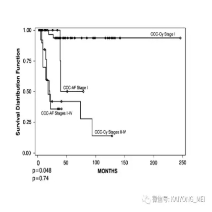 卵巢癌的病理诊断新进展（三）