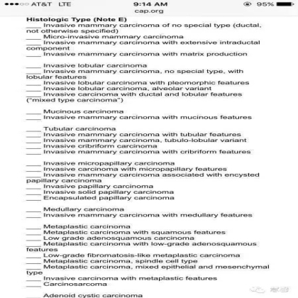 伴有筛状及乳头状结构的浸润性导管癌（水中央分享，吴焕文及孔祥田老师讲解）
