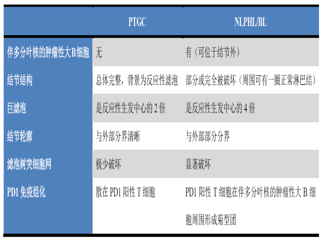儿童反应性淋巴结肿大与淋巴瘤的病理鉴别（二）