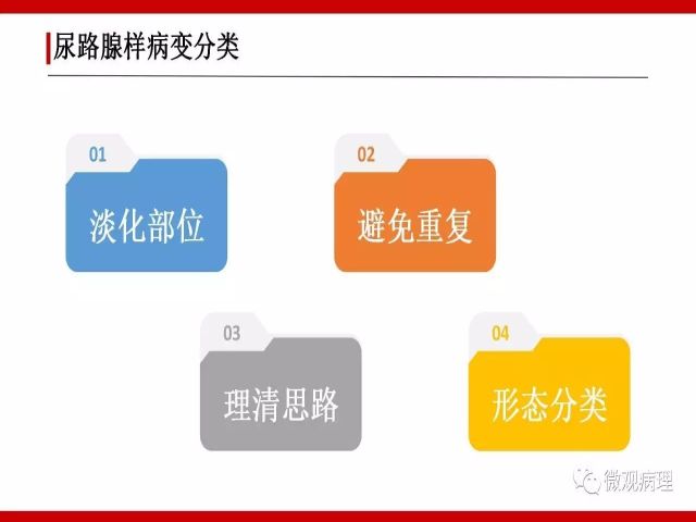 泌尿课程/尿路腺样病变的诊断要点