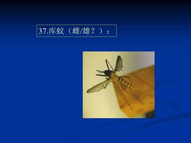 收藏！寄生虫图谱大全