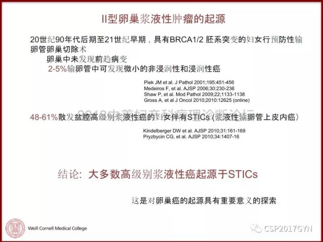 非粘液性卵巢肿瘤的诊断挑战