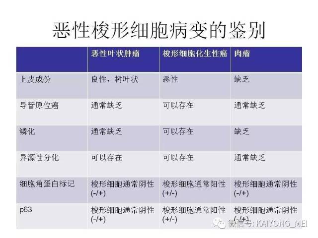 乳腺梭形细胞病变的病理诊断及进展（二）