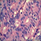 2012-05-22