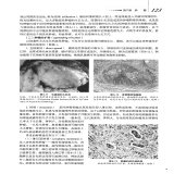 默认相册