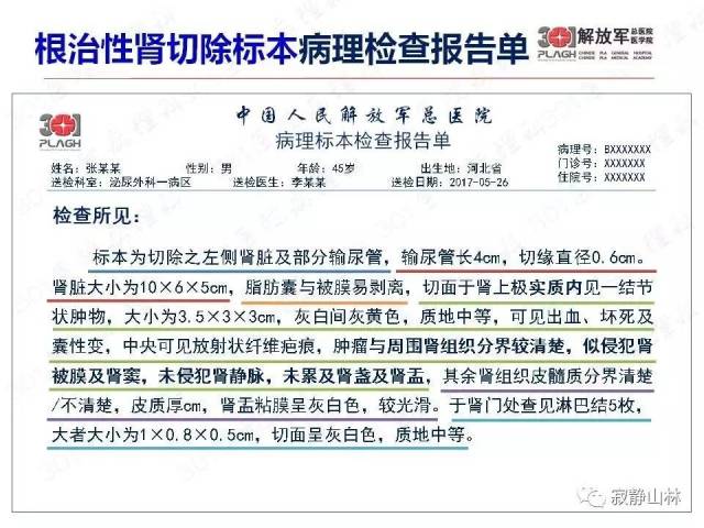 泌尿系统常见肿瘤标本病理报告规范