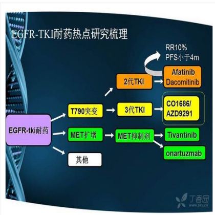 晚期非小细胞肺癌 EGFR-TKI 耐药研究进展